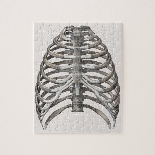 Vintage menschliche Anatomie Skelett Skelettknoche Puzzle (Vertikal)