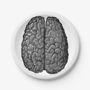 Vintage menschliches Gehirn-Illustration Pappteller