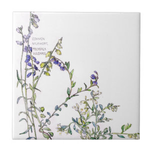 Vintage-Milchwurz-Wildblumen-Blumen-Kachel Fliese