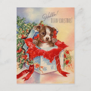 Vintage Mitte des Jahrhunderts Schöner Baby Boston Postkarte