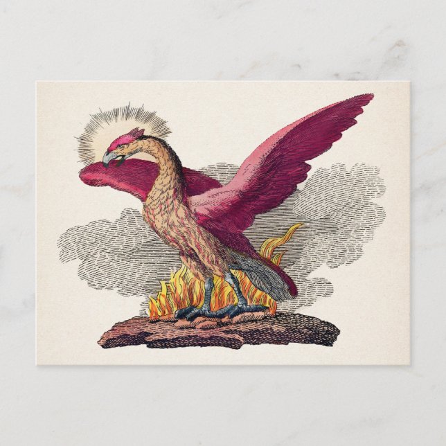 Vintage mittelalterliche Phoenix Postkarte (Vorderseite)