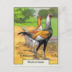 Vintage Modern Game Hahn Postkarte