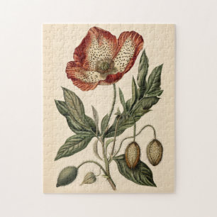 Vintage Mohn Botanische Illustration Puzzle