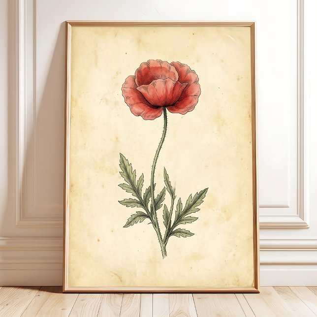 Vintage-Mohn-Kunstleinwanddruck Poster (Von Creator hochgeladen)