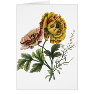 Vintage Mohnblumen-Blume