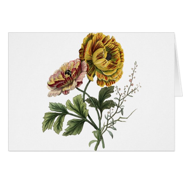 Vintage Mohnblumen-Blume (Vorderseite (Horizontal))