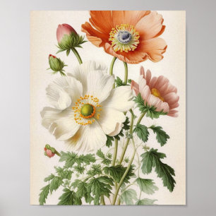Vintage Mohnblumen Poster