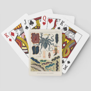 Vintage Mollusken und Planarien vom Great Barrier Spielkarten
