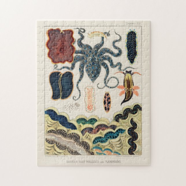 Vintage Mollusken und Planarierinnen im Riffenriff Puzzle (Vertikal)
