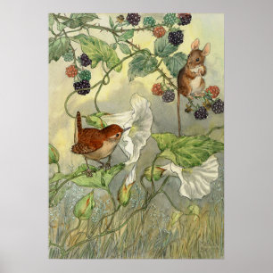 Vintage, Molly Brett Naturkunst Vogel, Maus Poster