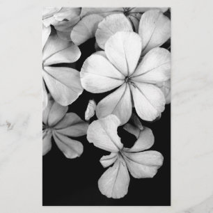 Vintage Monochrome Plumbago-Kunstwerk Briefpapier