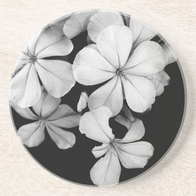 Vintage Monochrome Plumbago-Kunstwerk Untersetzer (Vorne)
