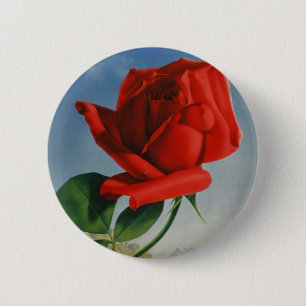 Vintage Montreux Rote Rose Schweiz Genfersee Button