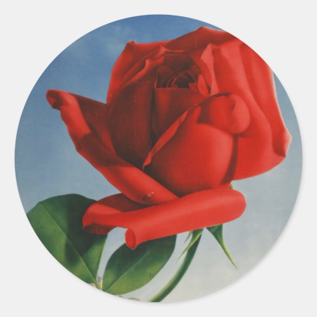 Vintage Montreux Rote Rose Schweiz Genfersee Runder Aufkleber (Vorderseite)