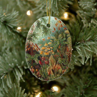 Vintage Moss-Pflanze von Ernst Haeckel, Muscinae Keramik Ornament