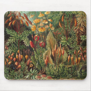 Vintage Moss-Pflanze von Ernst Haeckel, Muscinae Mousepad