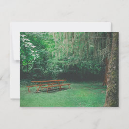 Vintage Mossy-Bench-Postkarte Postkarte