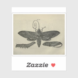 Vintage Moth Metamorphasis Aufkleber