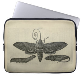 Vintage Moth Metamorphasis Laptopschutzhülle