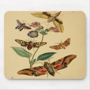 Vintage Motte Mousepad