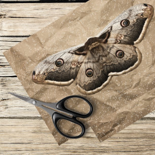 Vintage Motte Seidenpapier