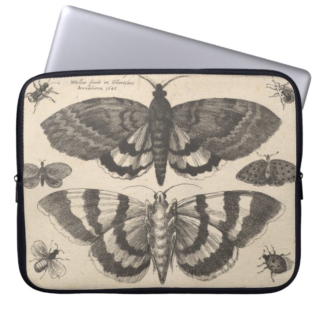 Vintage MotteLepidoptera Laptopschutzhülle (Vorderseite)