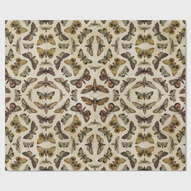 Vintage Motten Geschenkpapier (Flach)