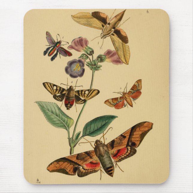 Vintage-Motten-Mauspad Mousepad (Vorne)