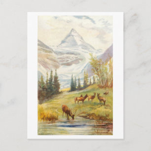 Vintage Mount Assiniboine und Gletscher, Kanada Postkarte