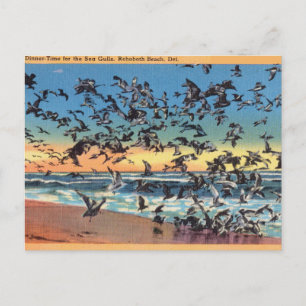 Vintage, Möwen, Rehoboth Beach, Delaware Postkarte