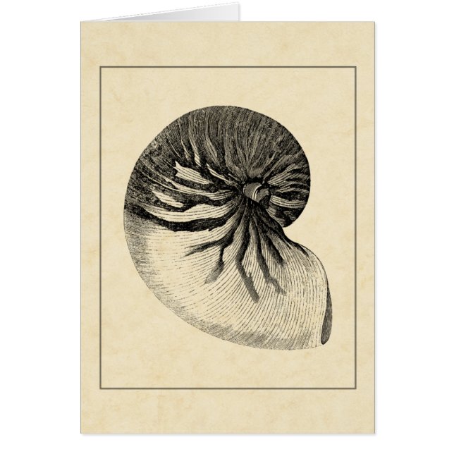 Vintage Muschel Schwarz/Weiß (Vorne)