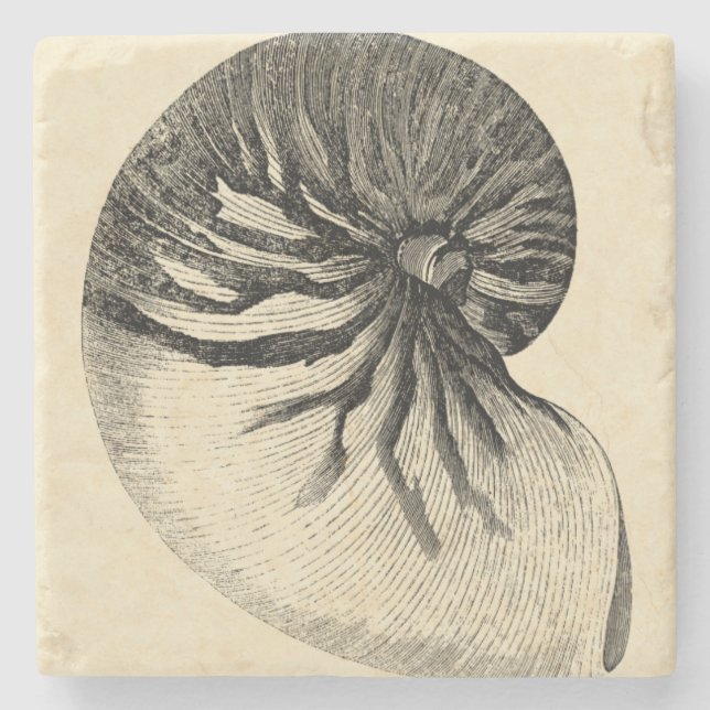 Vintage Muschel Schwarz/Weiß Steinuntersetzer (Vorderseite)