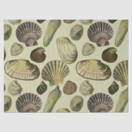 Vintage Muschel Seidenpapier