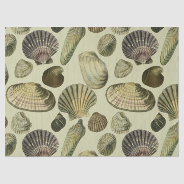 Vintage Muschel Seidenpapier (Vorderseite)