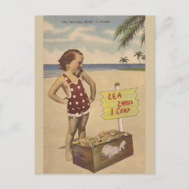 Vintage Muscheln Florida Postkarte