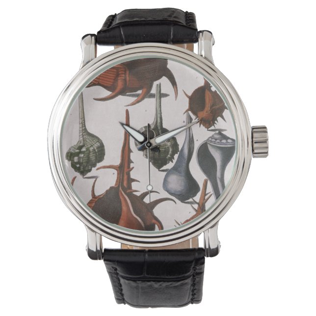 Vintage Muscheln, Meereslebewesen Muscheln Armbanduhr (Vorderseite)