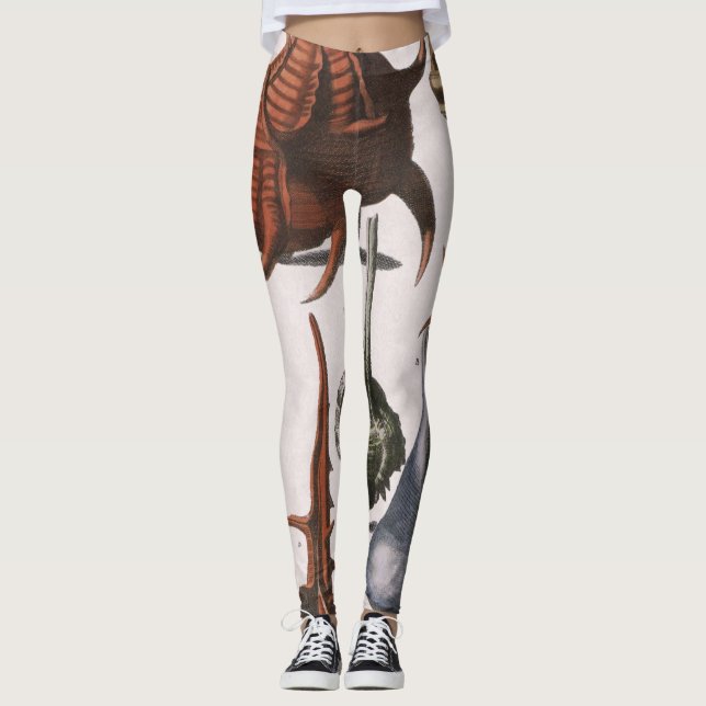 Vintage Muscheln, Meereslebewesen Muscheln Leggings (Vorderseite)