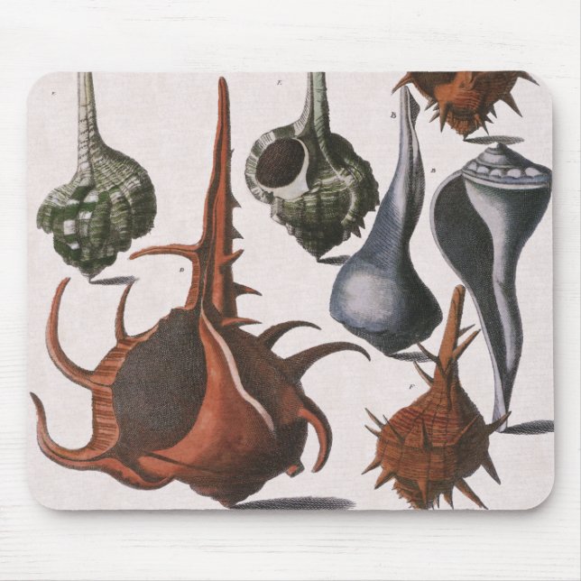 Vintage Muscheln, Meereslebewesen Muscheln Mousepad (Vorne)