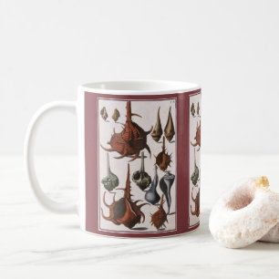 Vintage Muscheln, Meereslebewesen Muscheln Tasse