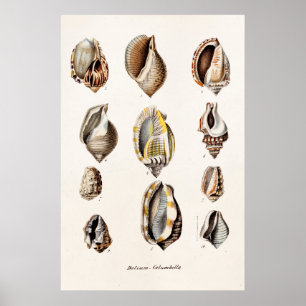 Vintage Muscheln Personalisiert Retro Berge Musche Poster