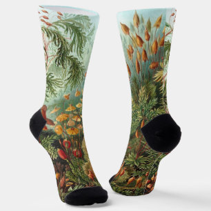 Vintage Muscinae, Moospflanzen von Ernst Haeckel Socken