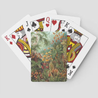 Vintage Muscinae, Moospflanzen von Ernst Haeckel Spielkarten