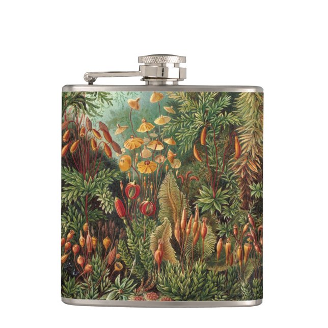 Vintage Muscinae, Moss-Pflanze von Ernst Haeckel Flachmann (Vorderseite)