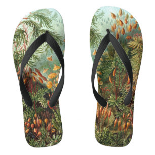 Vintage Muscinae, Moss-Pflanze von Ernst Haeckel Flip Flops