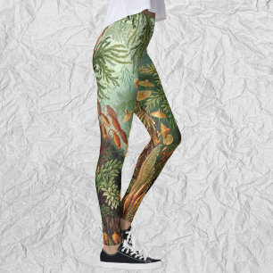 Vintage Muscinae, Moss-Pflanze von Ernst Haeckel Leggings