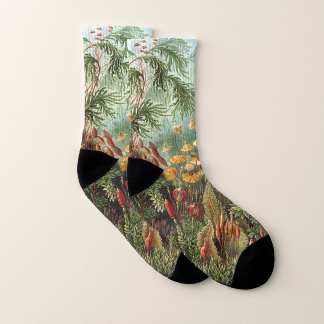 Vintage Muscinae, Moss-Pflanze von Ernst Haeckel Socken (Paar)