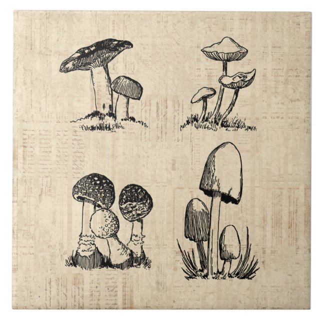 Vintage Mushroom Art Illustration Fliese (Vorderseite)