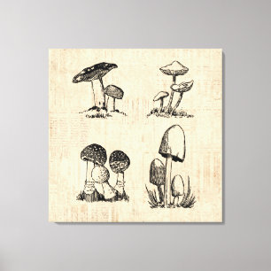 Vintage Mushroom Art Illustration Leinwanddruck