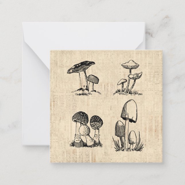 Vintage Mushroom Art Illustration Mitteilungskarte (Vorderseite)
