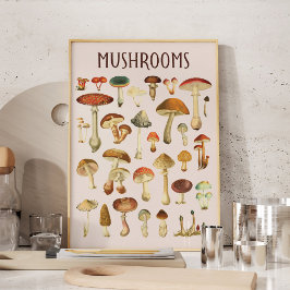 Vintage Mushroom-Chart Poster